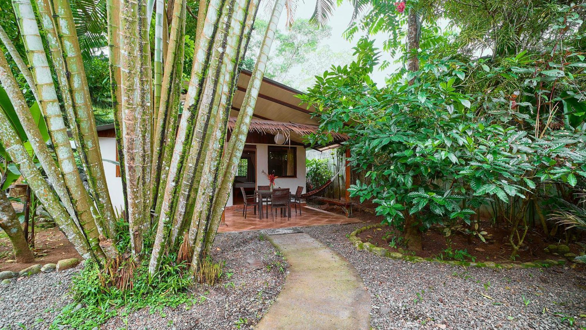 Cabinas Montesol Puerto Viejo de Talamanca Buitenkant foto