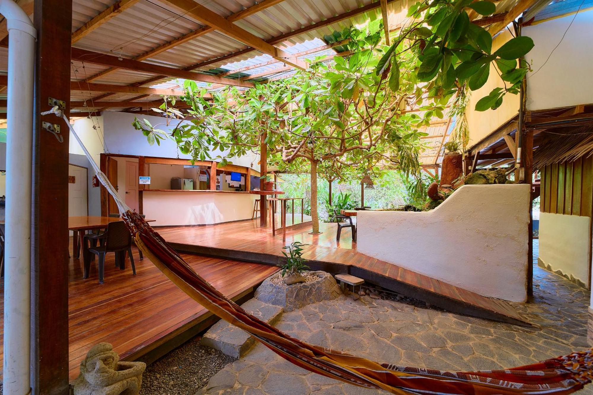 Cabinas Montesol Puerto Viejo de Talamanca Buitenkant foto